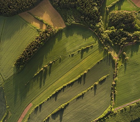 fotky/fotografie-konopiste